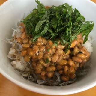 栄養満点！美味しさ満点！納豆しらす丼！